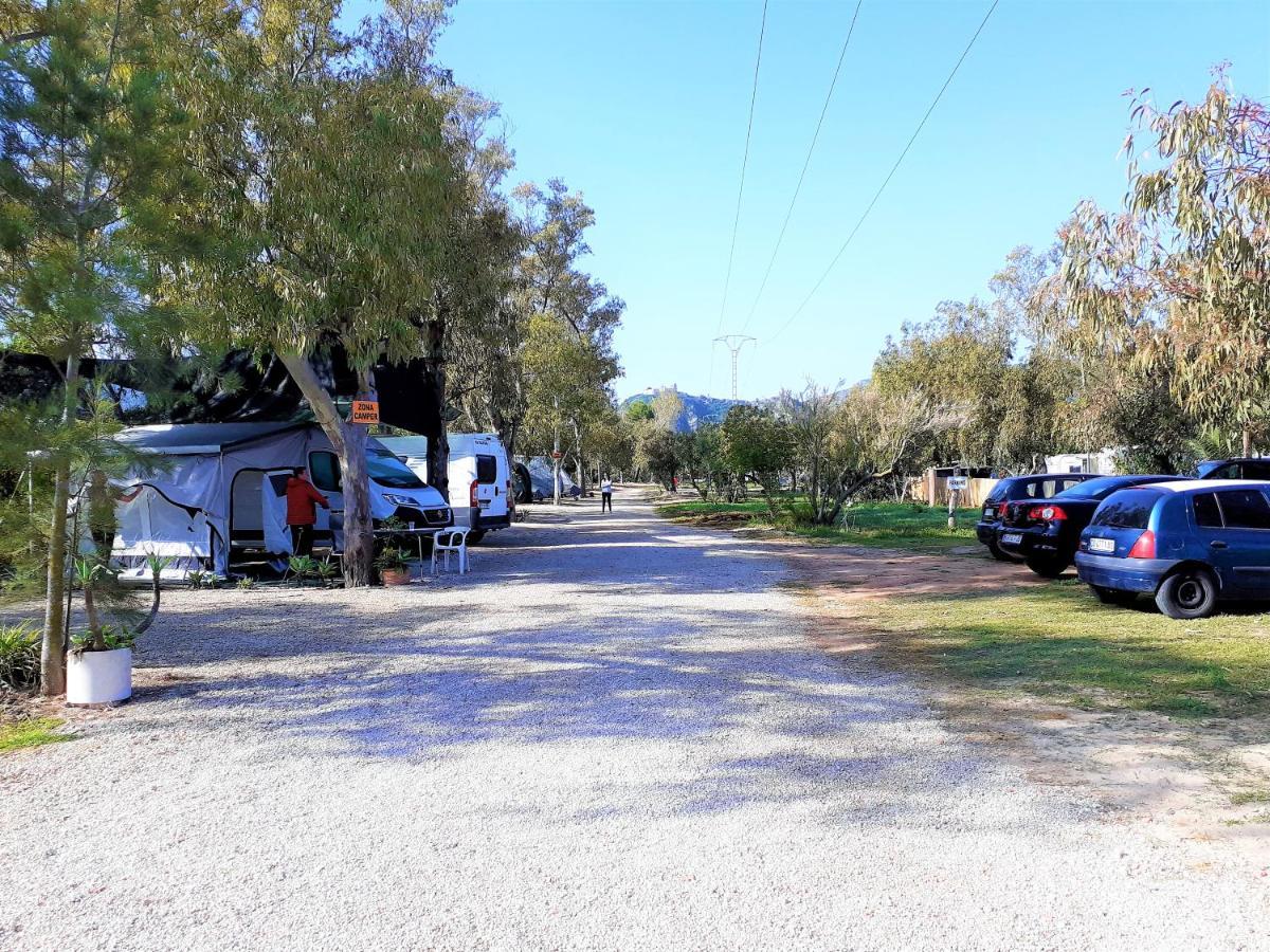 ホテル Camping La Naranja ガンディア エクステリア 写真