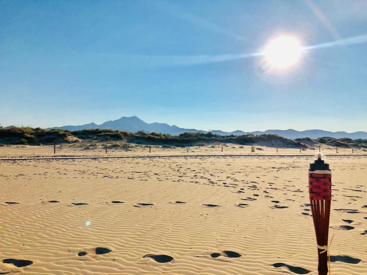 ホテル Camping La Naranja ガンディア エクステリア 写真