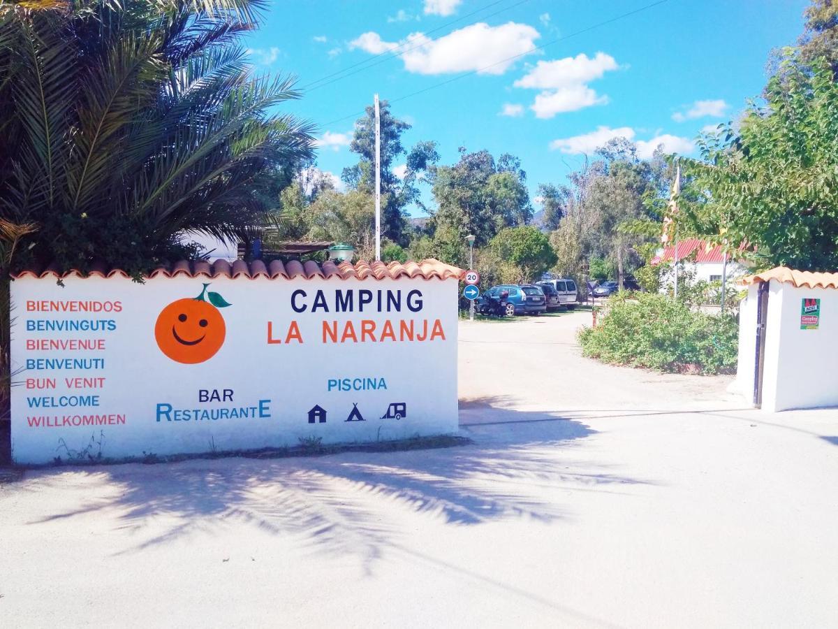 ホテル Camping La Naranja ガンディア エクステリア 写真